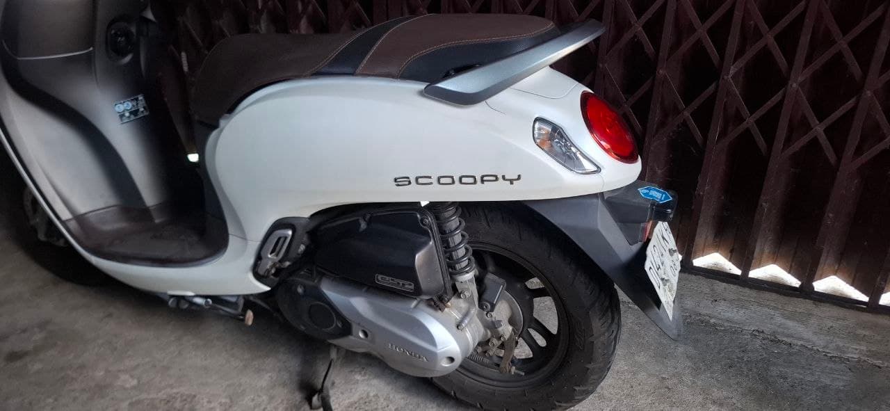 Honda Scoopy, photo 4